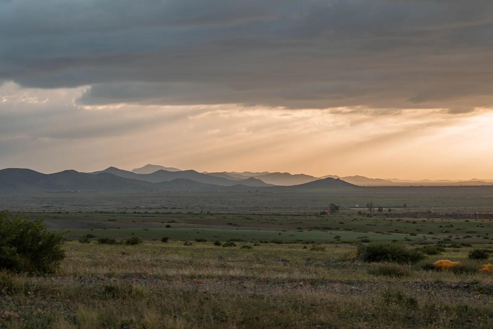 Paysage nature